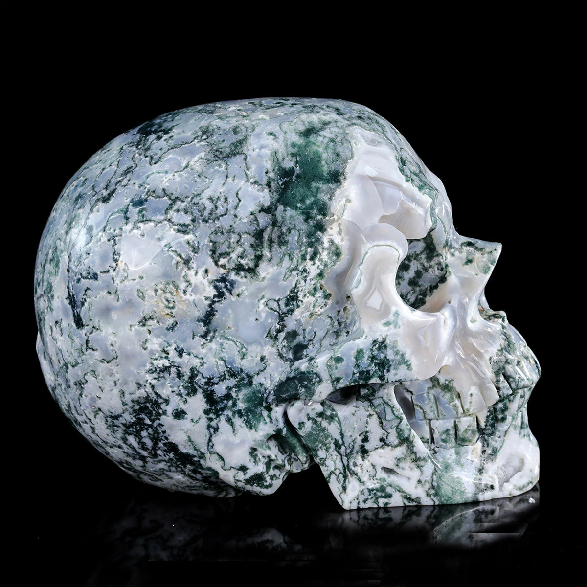 8.0" Moss Agate Crystal Skull Carving  #SCS0024