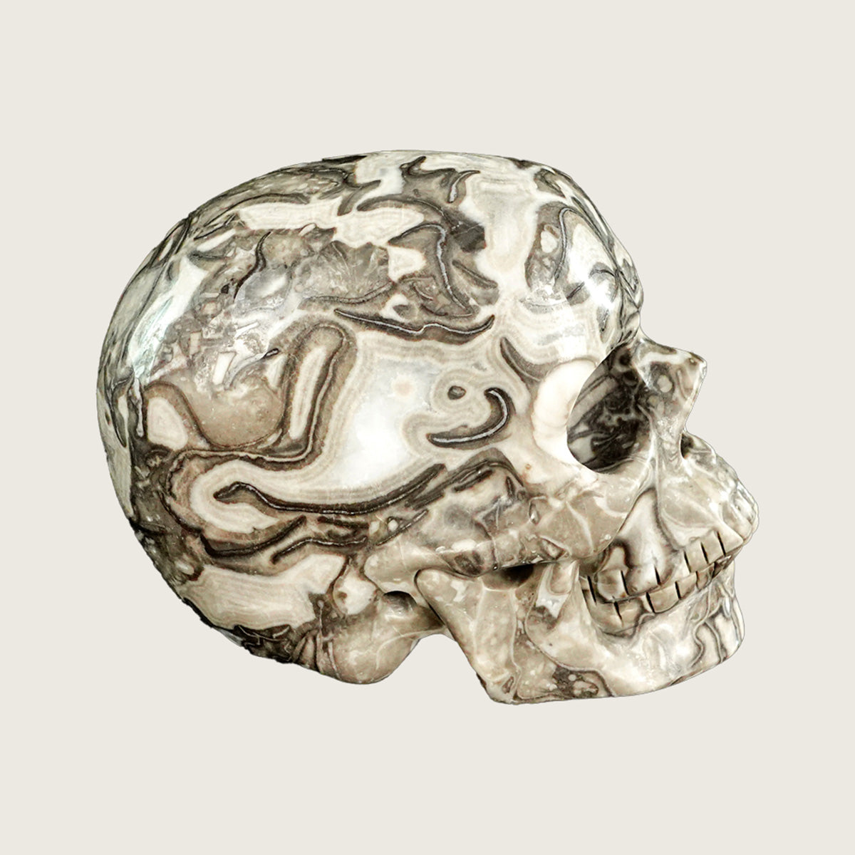 4.5" Black Crazy Agate Crystal Skull Carving  #SKH45017
