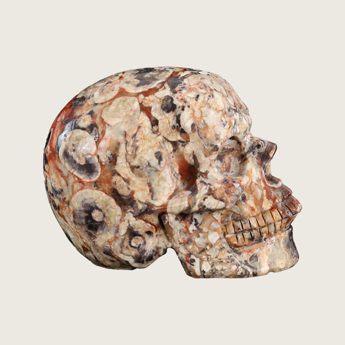 4.5" Coin Agate Crystal Skull Carving  #SKH45025