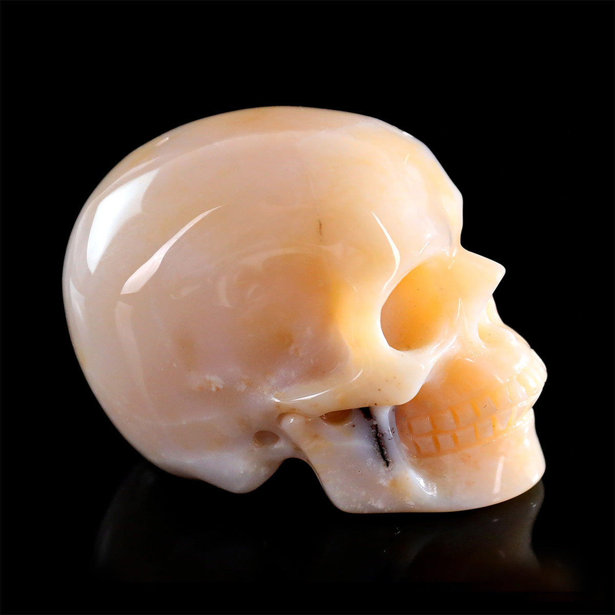 3.0" Agate Crystal Skull Carving  #SKH30116
