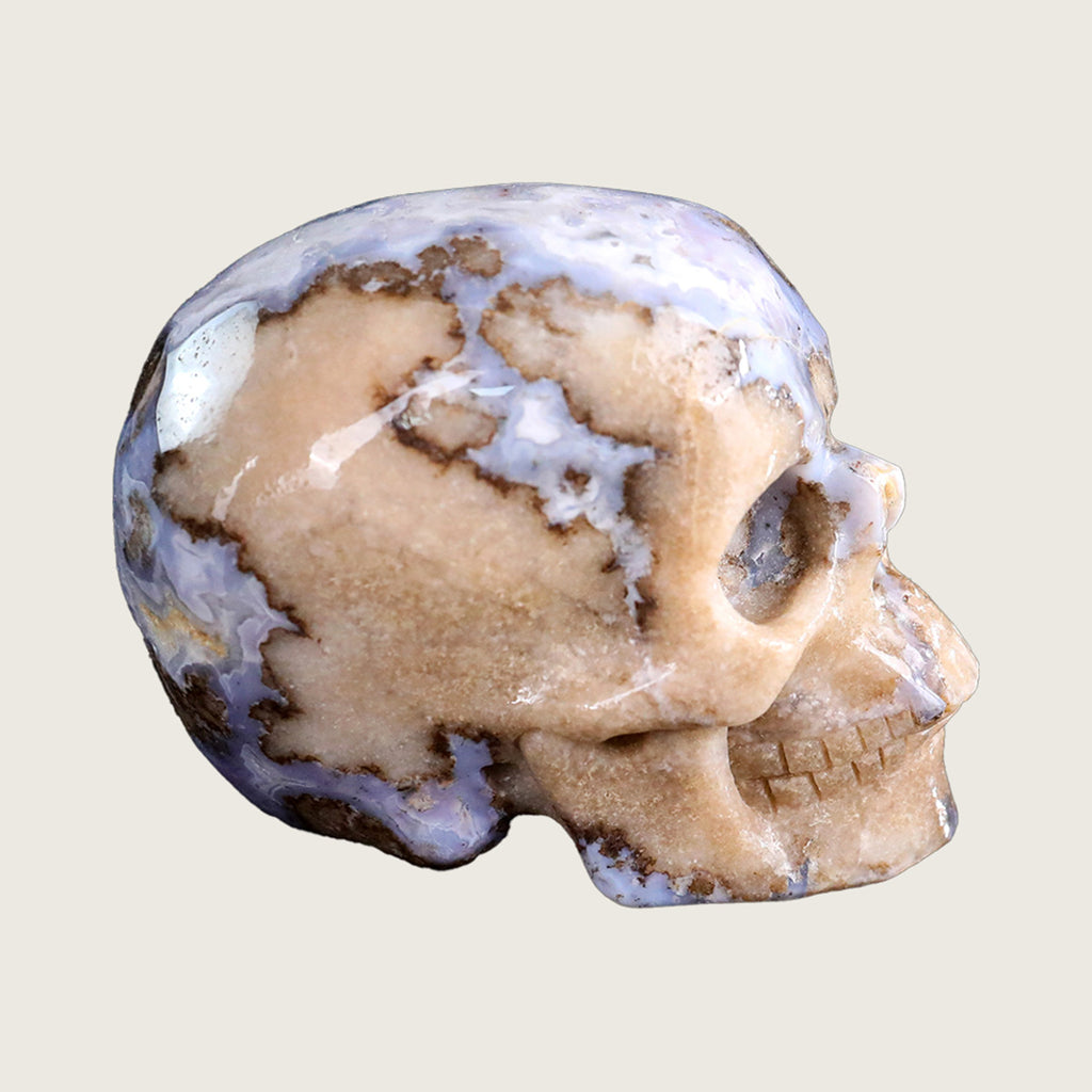 3.0" Blue Flower Agate Crystal Skull Carving  #SKH30034