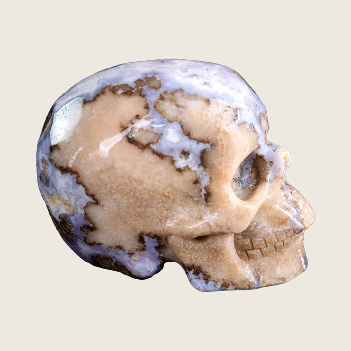 3.0" Blue Flower Agate Crystal Skull Carving  #SKH30034