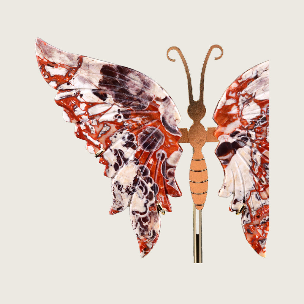 5.0" Coin Agate Butterfly Wings Carving  #CHA0004