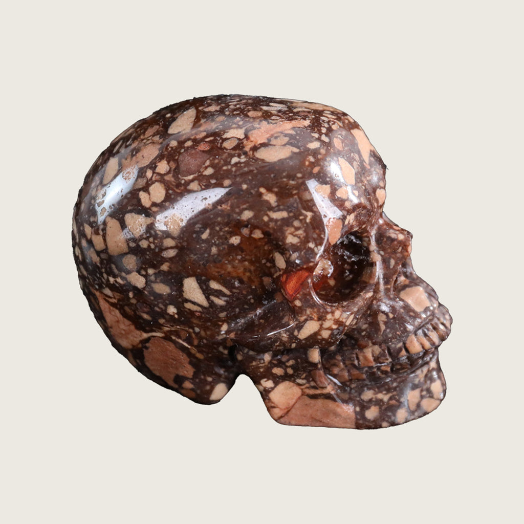 3.0" Coffee Stone Crystal Skull Carving  #SKH30058