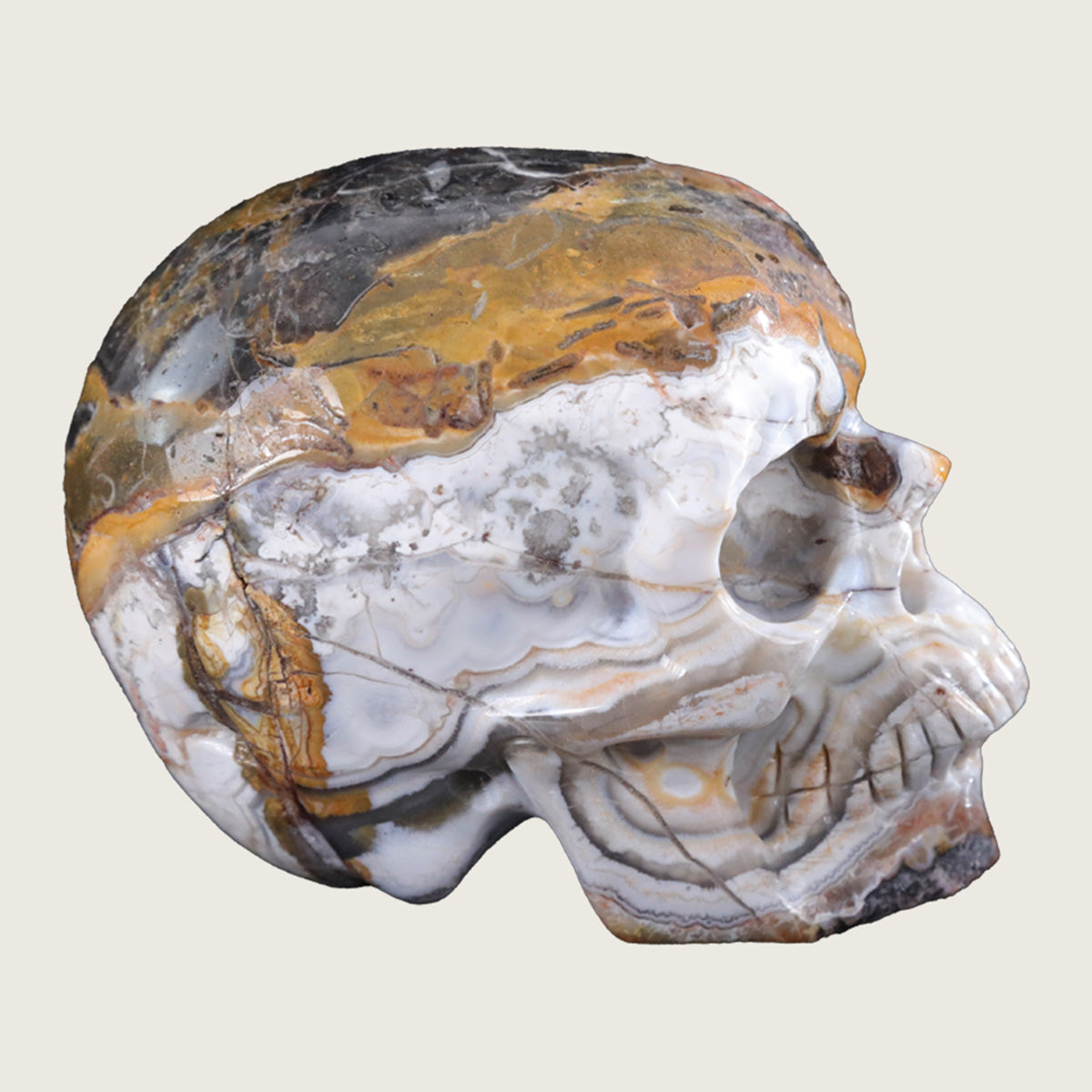 4.5" Red Crazy Lace Agate Human Skull Carving  #SKH45004