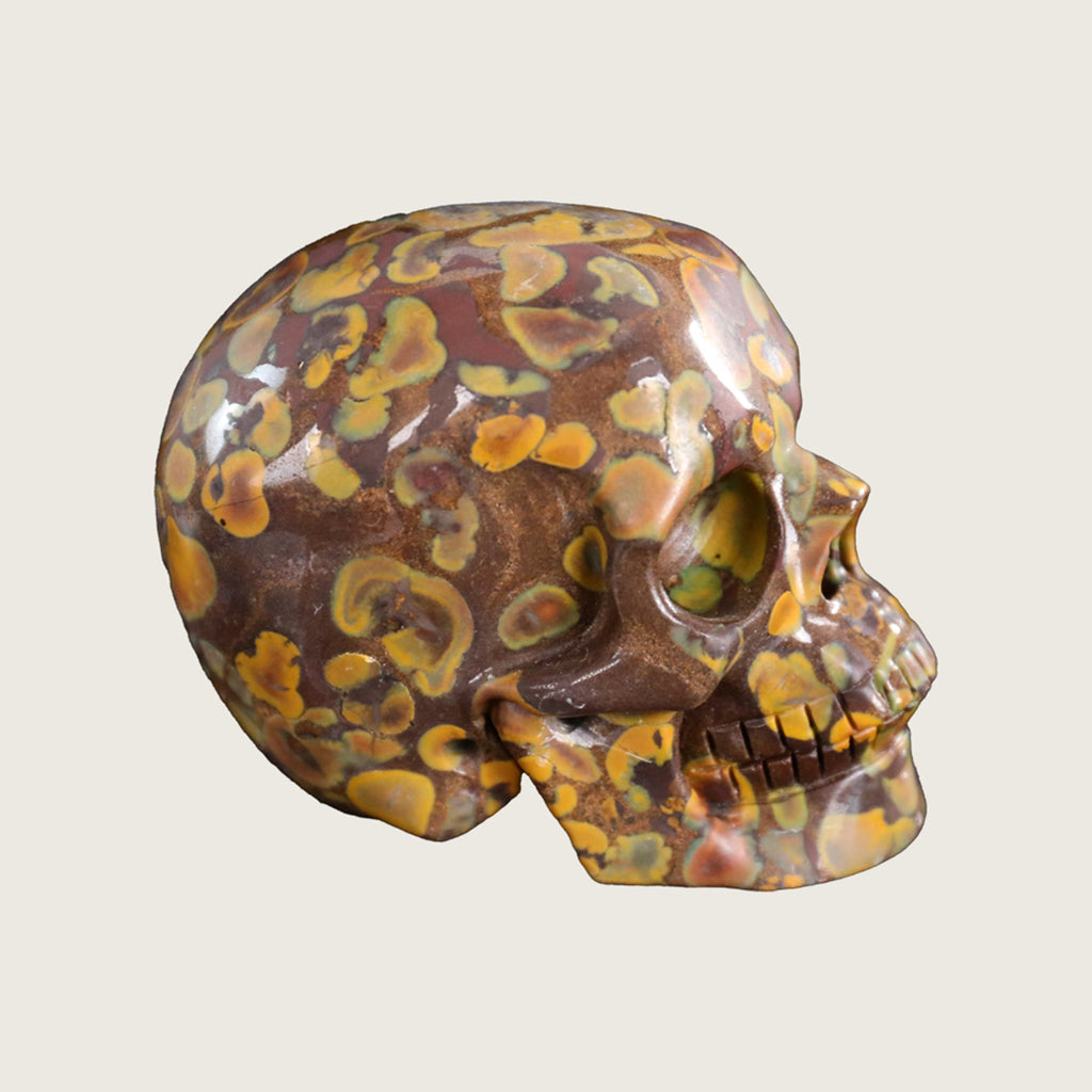 3.0" Oolite Crystal Skull Carving  #SKH30047