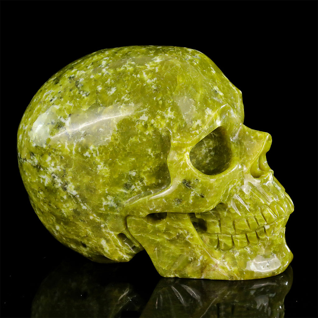8.0" Serpentine Jade Crystal Skull Carving  #SCS0025