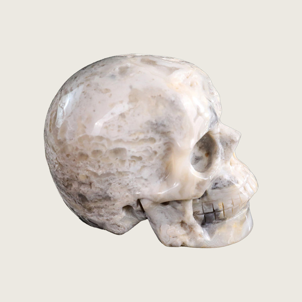 3.0" Crazy Lace Agate Crystal Skull Carving  #SKH30039