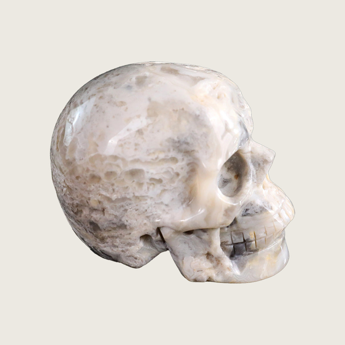 3.0" Crazy Lace Agate Crystal Skull Carving  #SKH30039