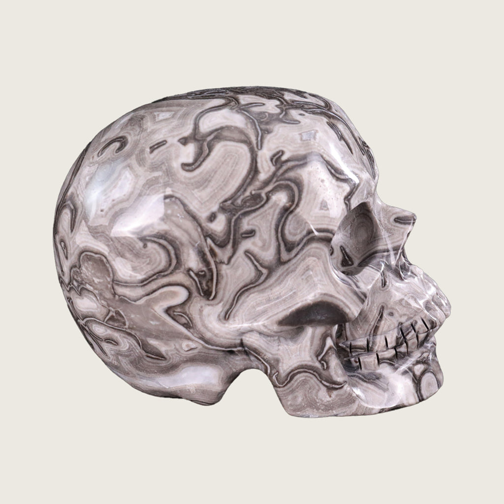 5.0" Black Crazy Lace Agate Human Skull Carving  #SCS0016