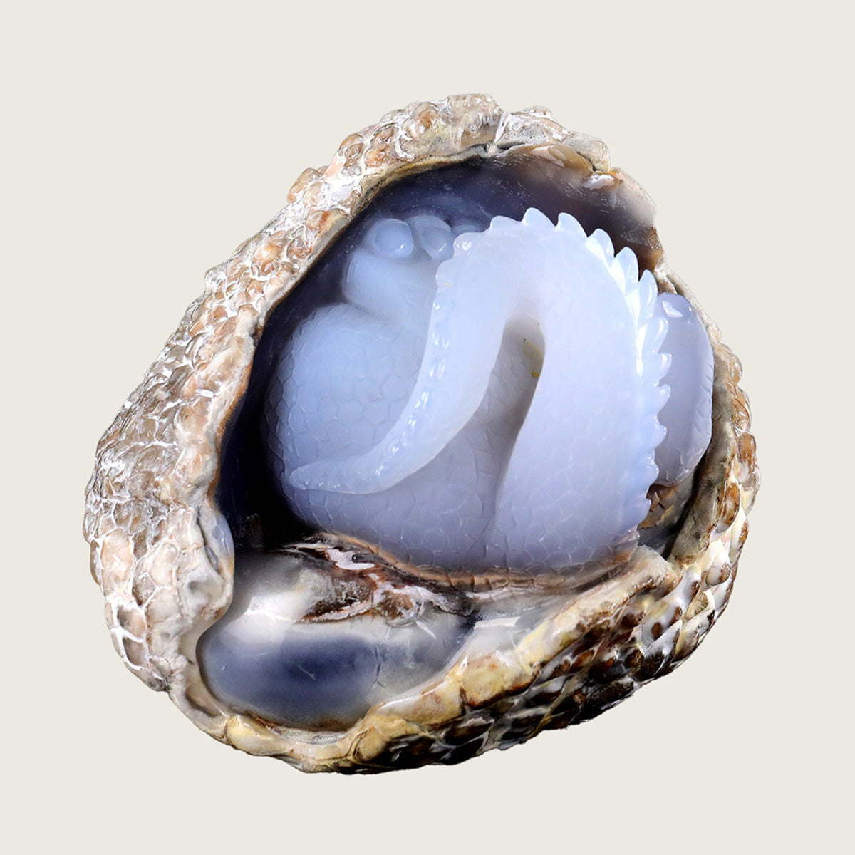5.1" Blue Chalcedony Baby Dragon Carving  #CTC0015