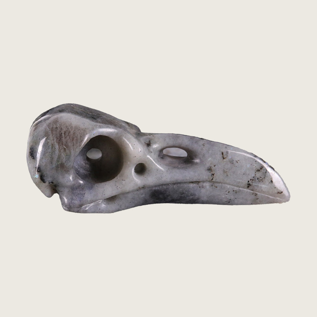 4.6" Labradorite Raven Skull Carving  #CSC0019