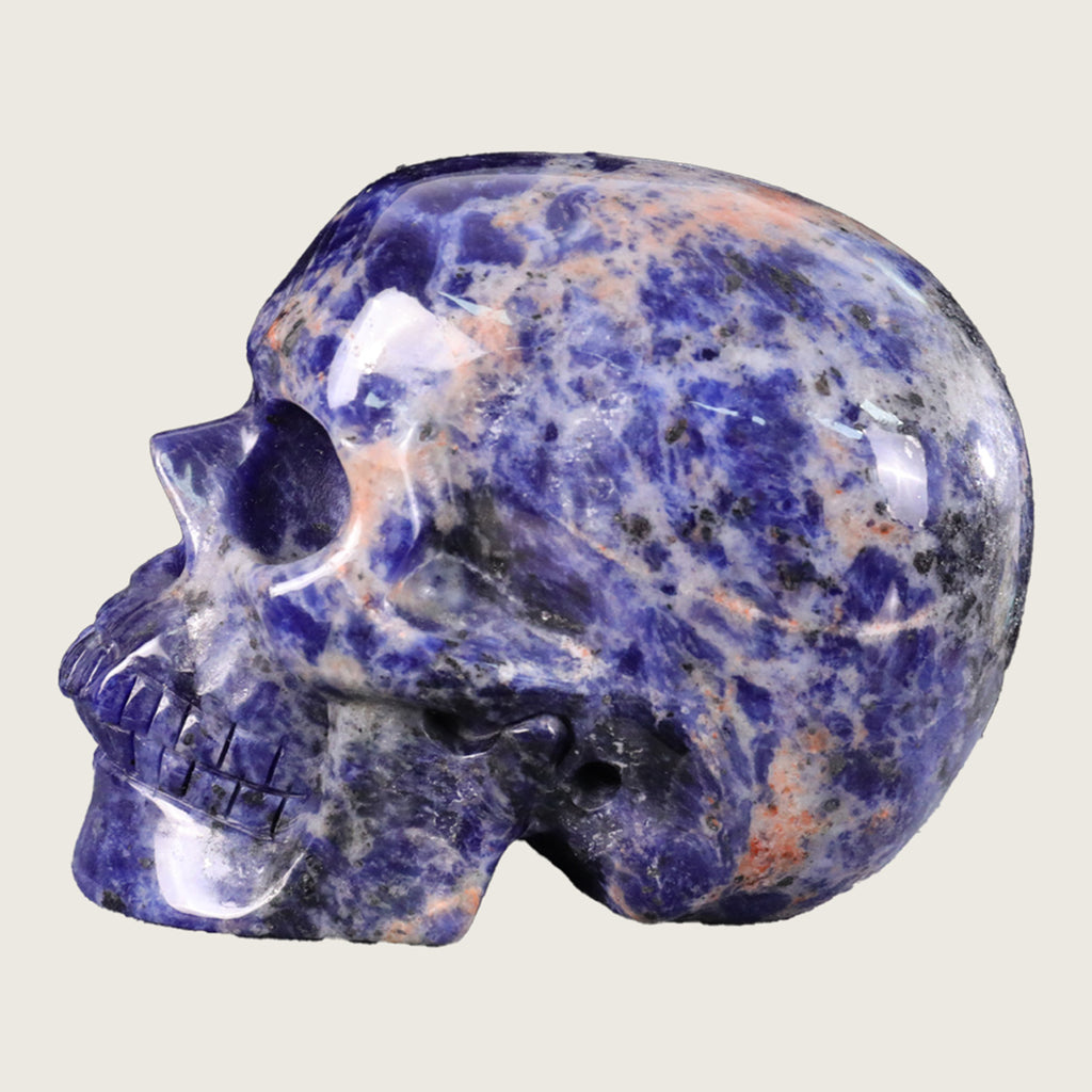 4.5" Sodalite Human Skull Carving  #SKH45006
