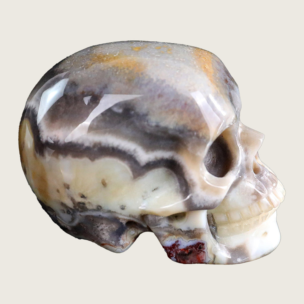 2.2" Red Crazy Lace Agate Human Skull Carving  #SKH22005