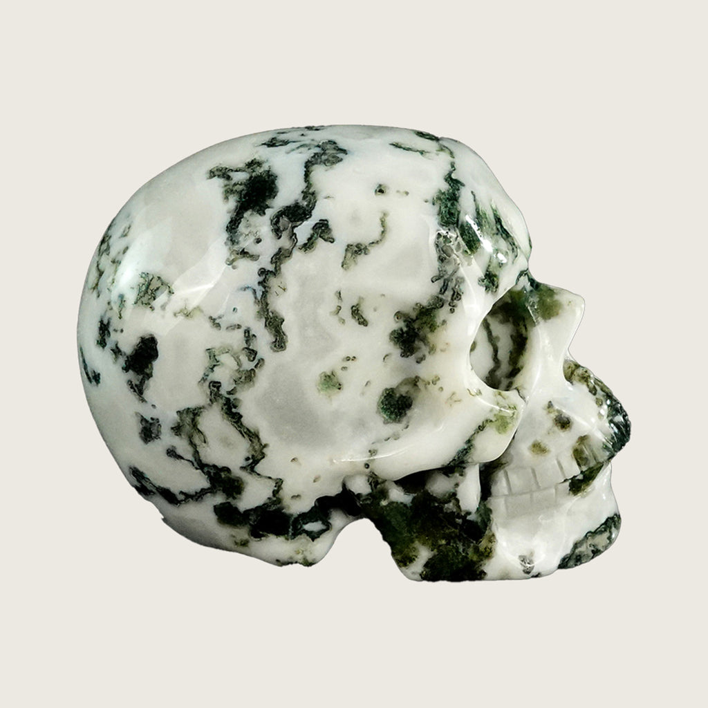 3.0" Moss Agate Crystal Skull Carving  #SKH30070