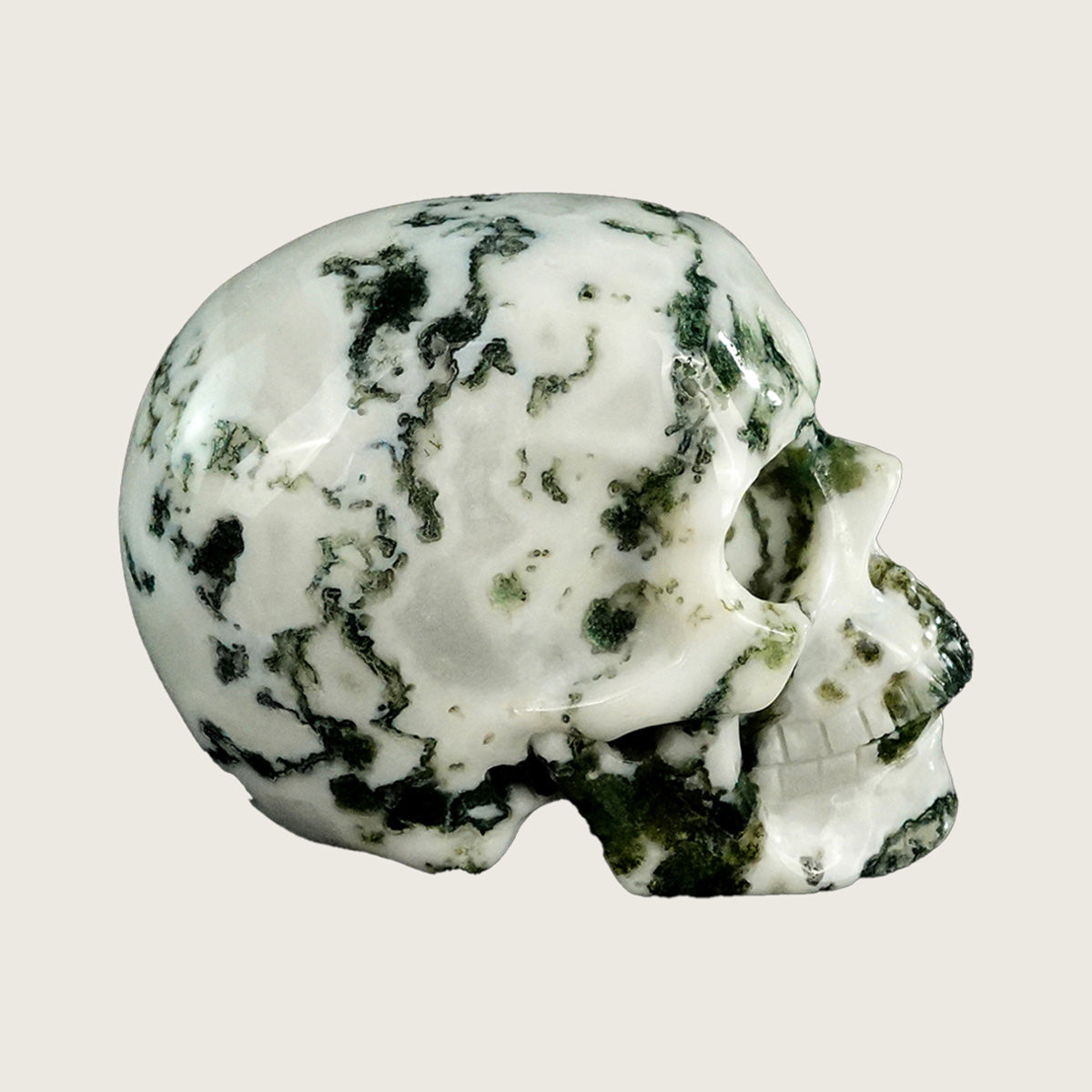3.0" Moss Agate Crystal Skull Carving  #SKH30070