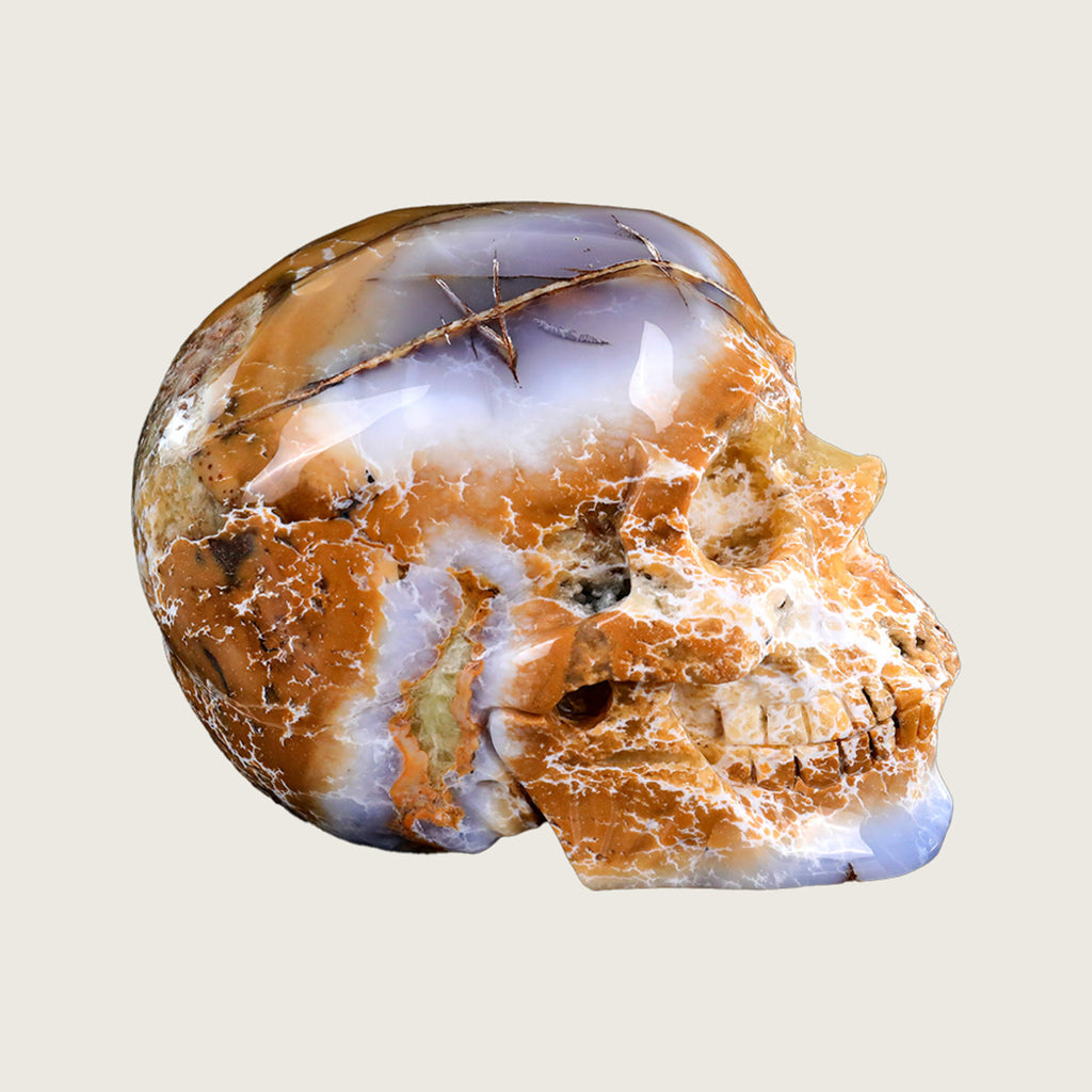 8.6" Chalcedony Crystal Skull Carving  #SCS0020
