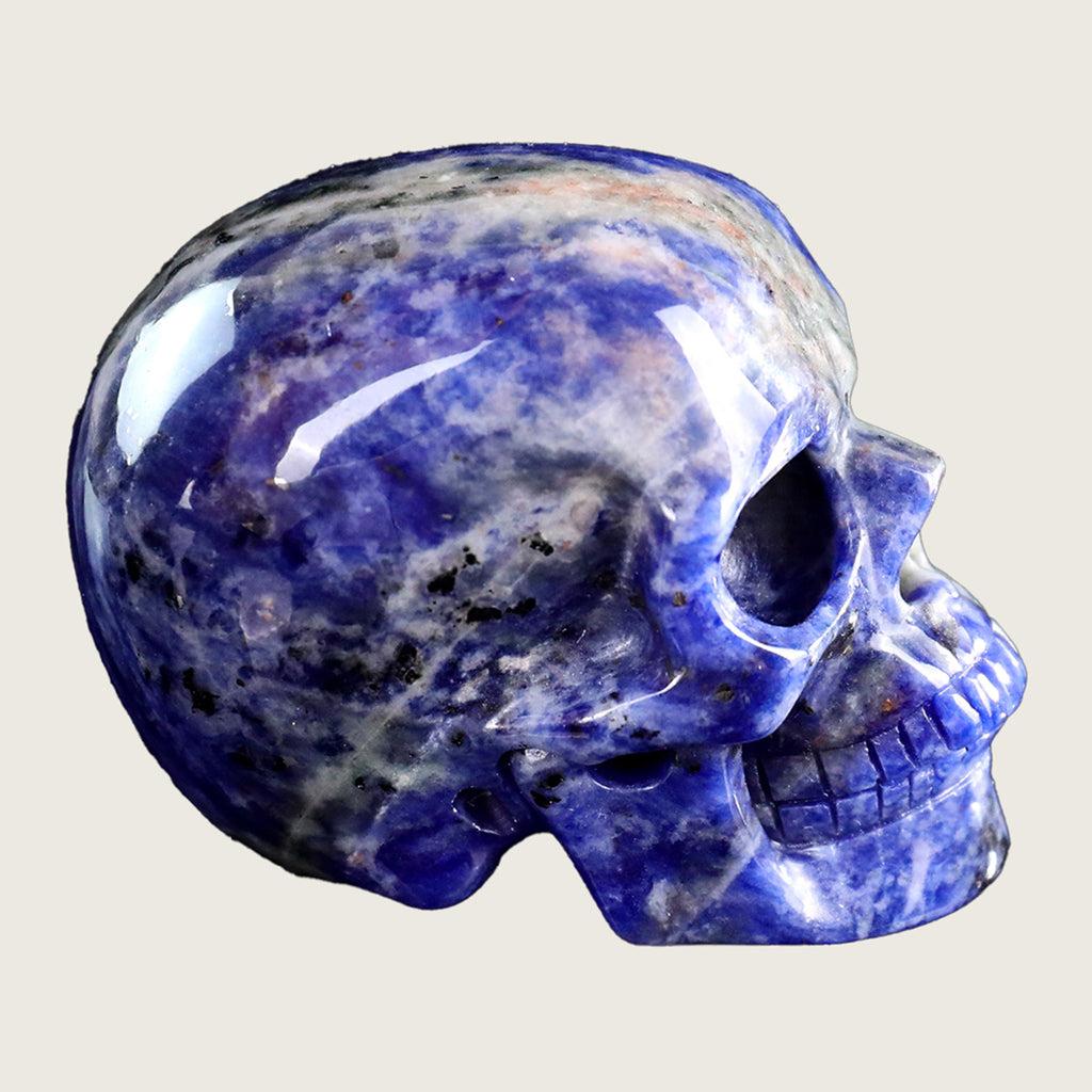 3.0" Sodalite Human Skull Carving  #SKH30002