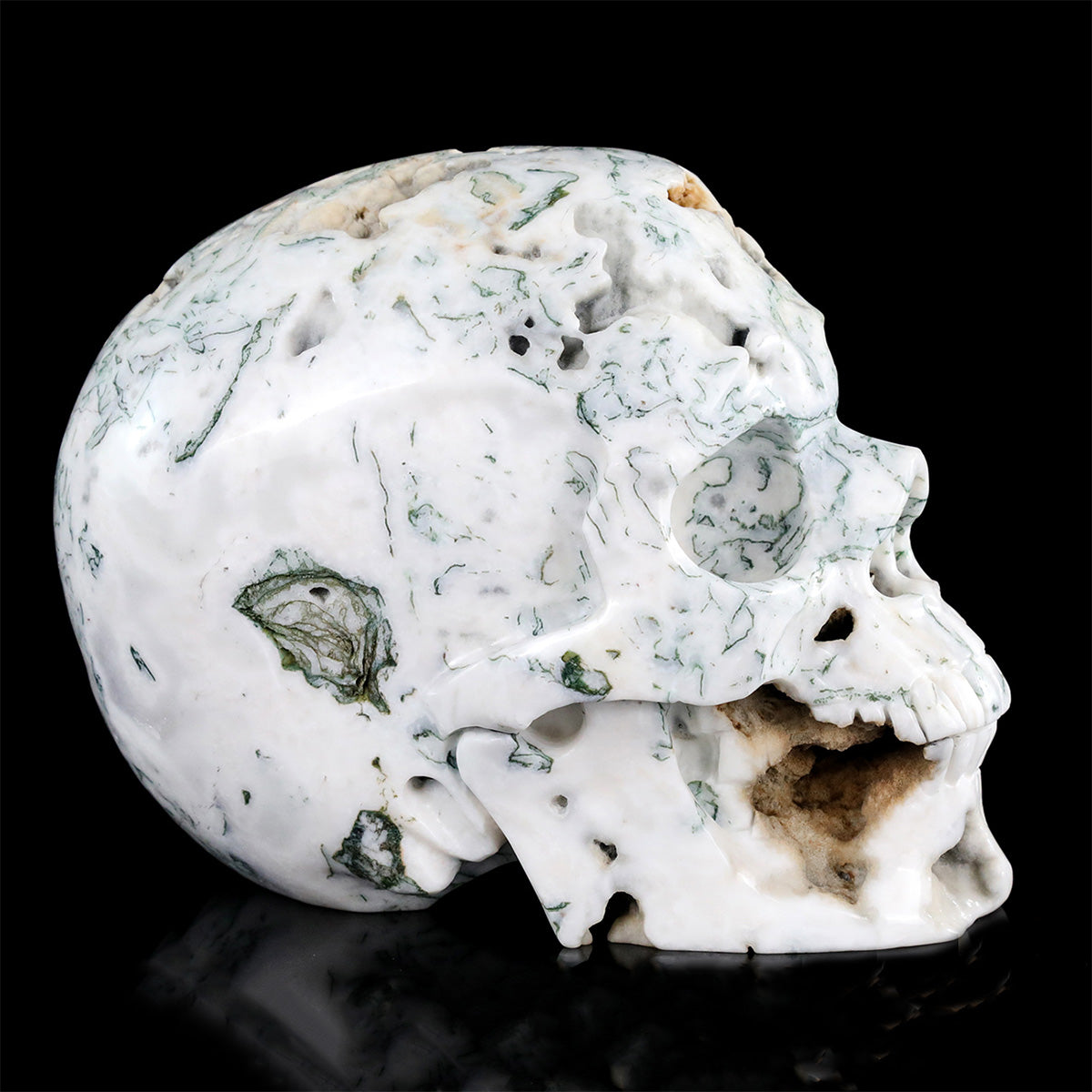 9.0" Moss Agate Crystal Skull Carving  #SCS0029