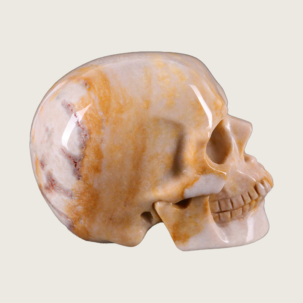 3.0" Coral Fossil Jade Human Skull Carving  #SKH30018