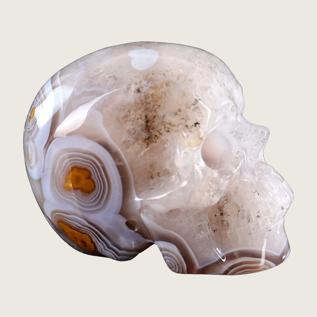 3.0" Red Crazy Lace Agate Human Skull Carving  #SKH30010
