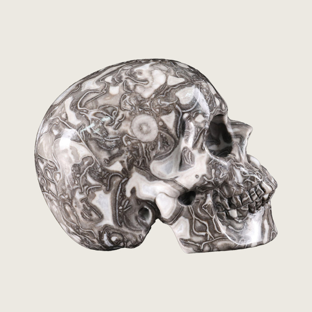 4.5" Black Crazy Agate Crystal Skull Carving  #SKH45011