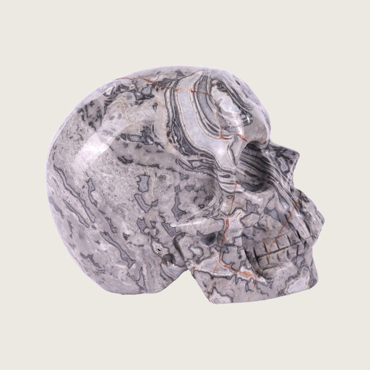 3.0" Crocodile Jasper Crystal Skull Carving  #SKH30036