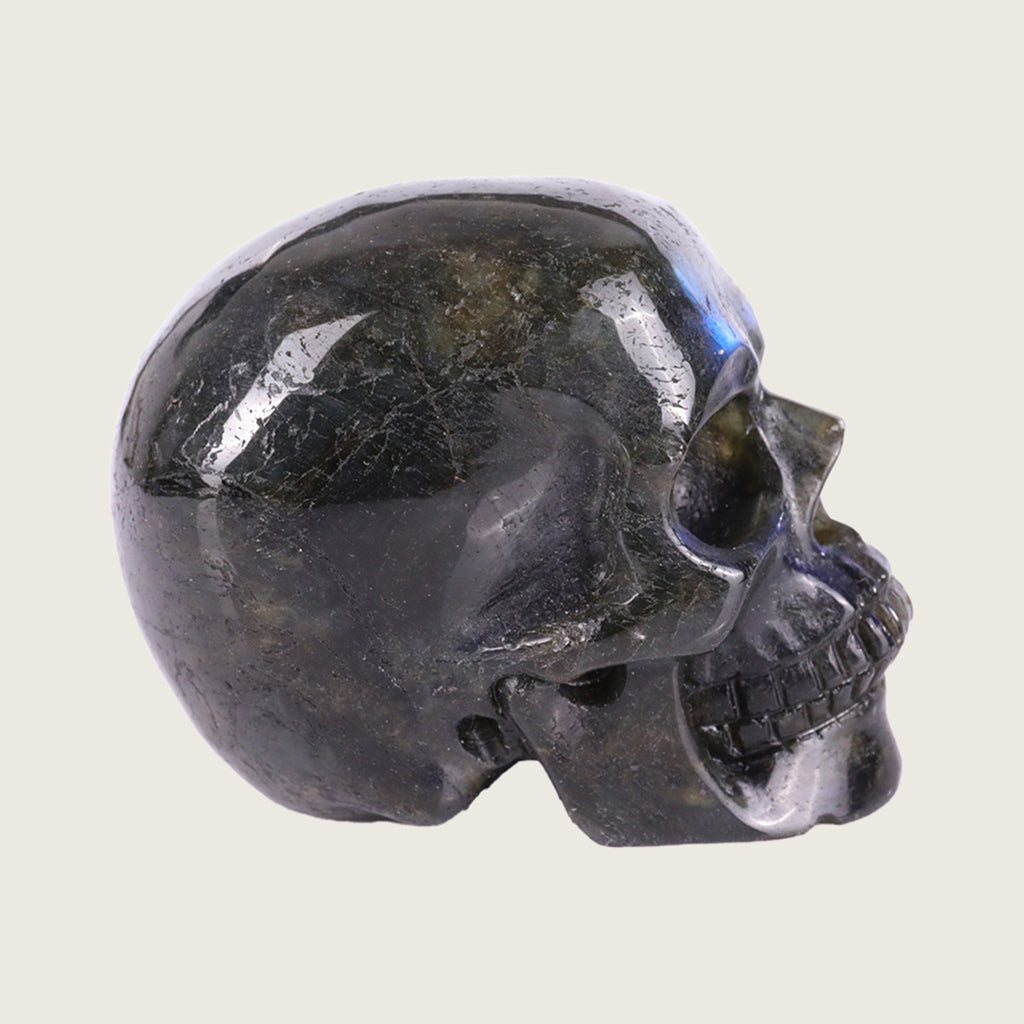 3.0" Blue Labradorite Human Skull Carving  #SKH30015
