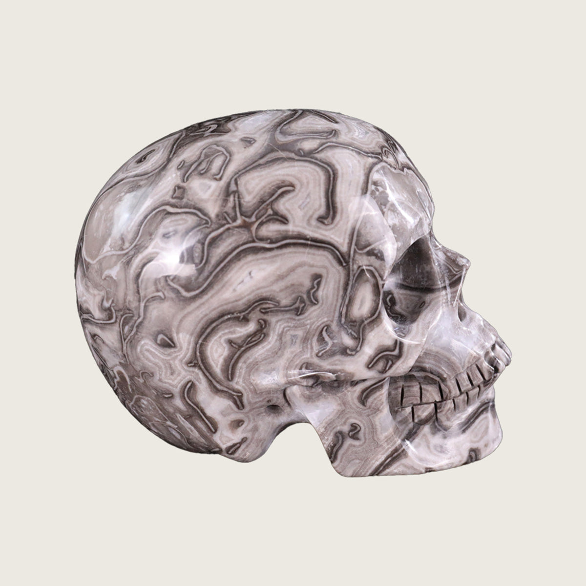 4.5" Black Crazy Agate Crystal Skull Carving  #SKH45015