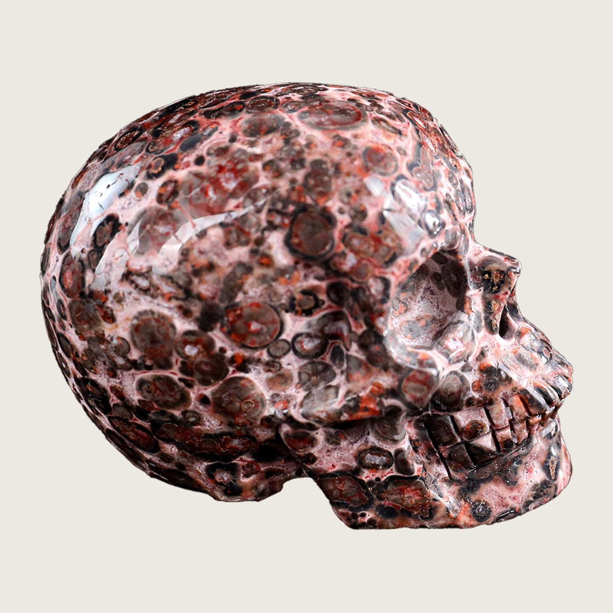 2.2" Leopard Skin Jasper Crystal Skull Carving  #SKHRLS2201