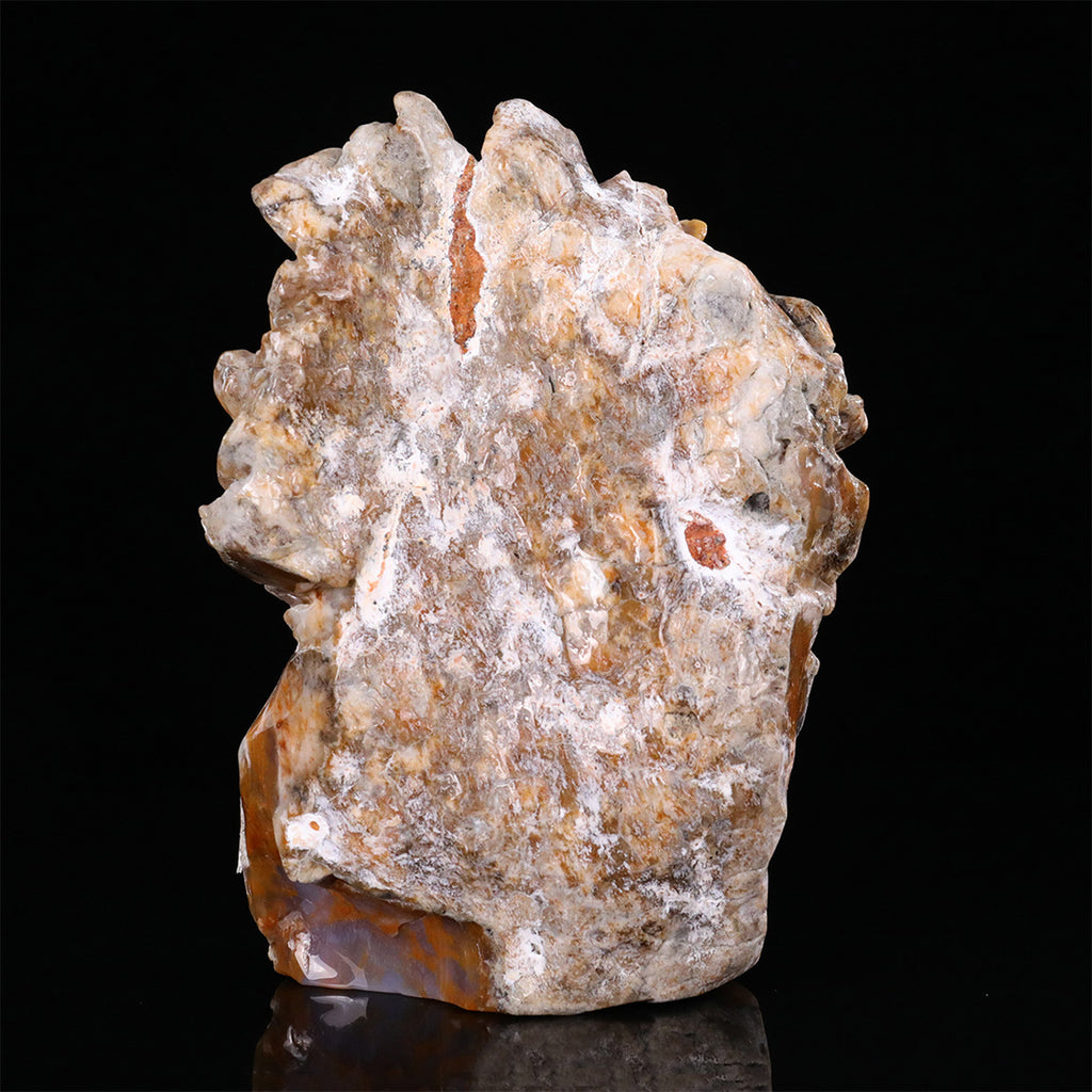 8.3" Yellow Chalcedony Lion Head  #CTC0082