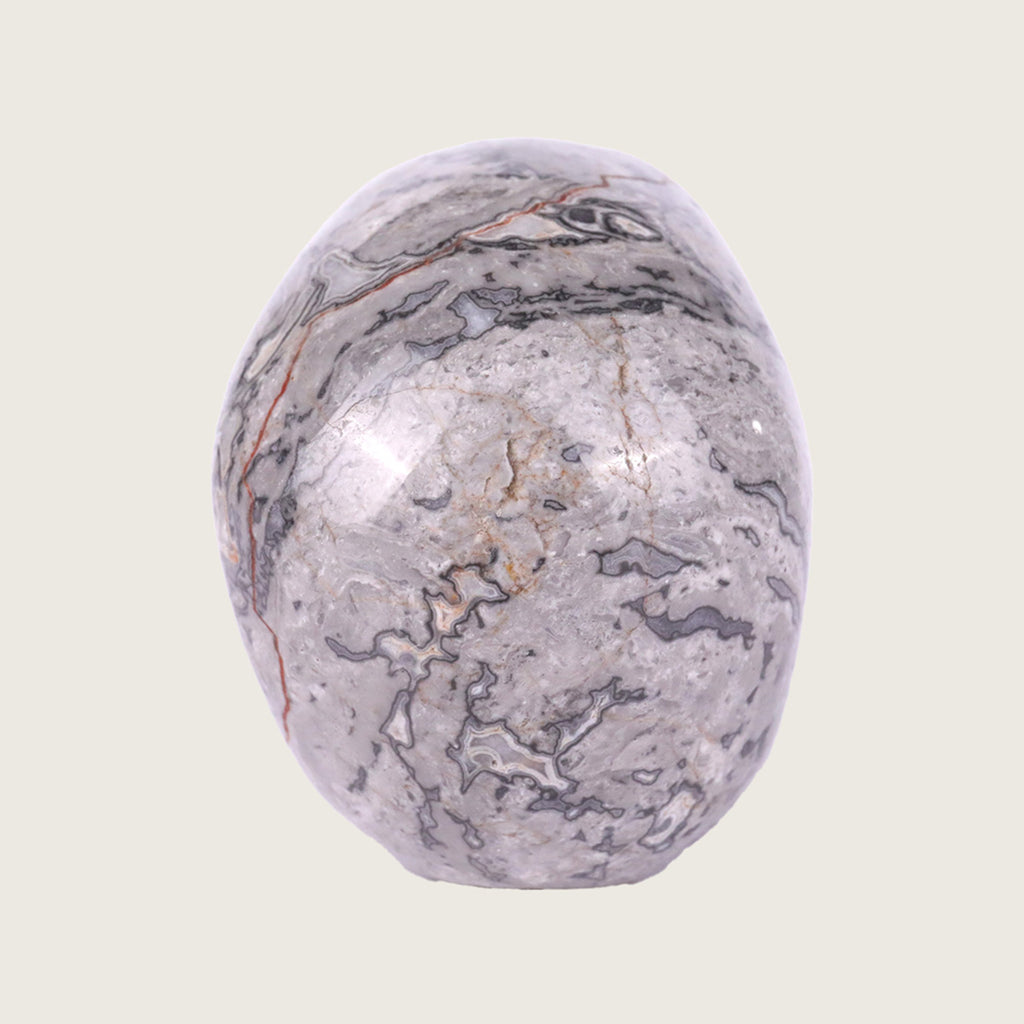 3.0" Crocodile Jasper Crystal Skull Carving  #SKH30036