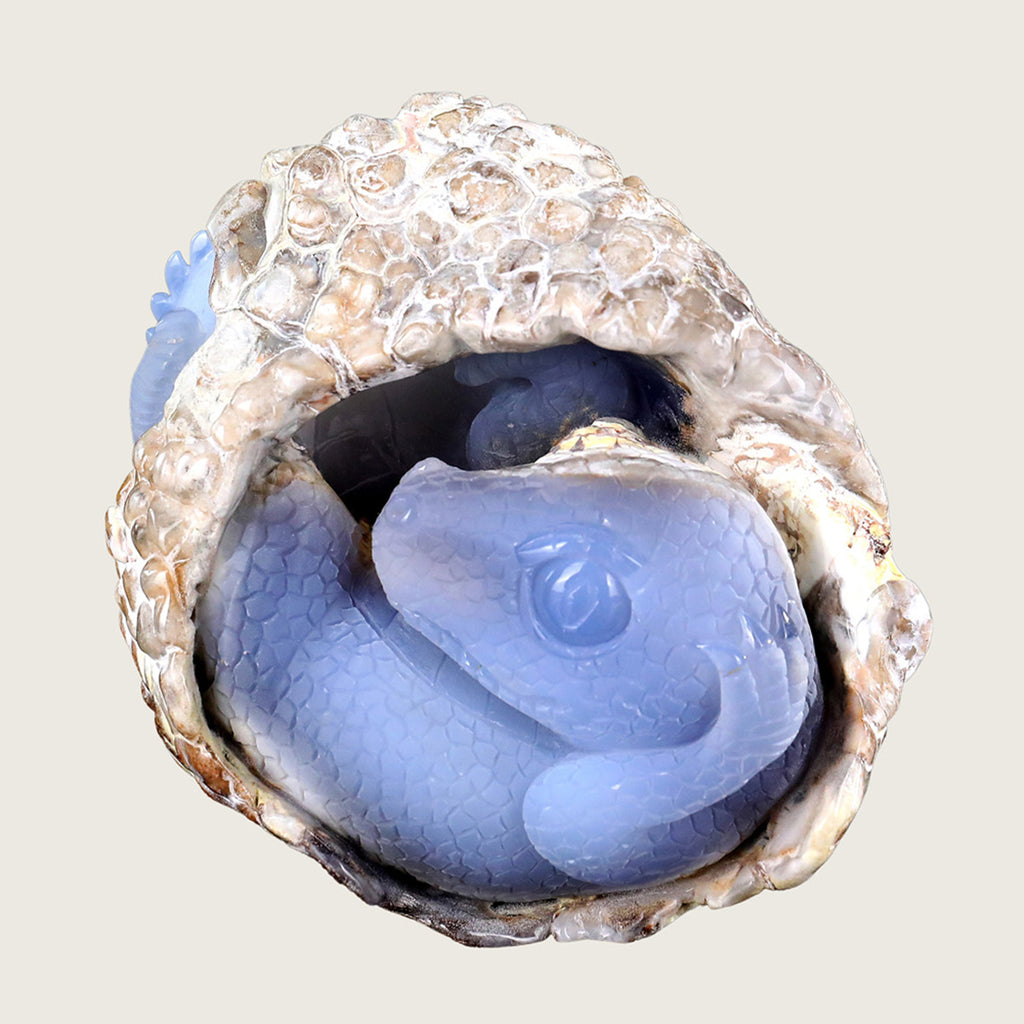 5.1" Blue Chalcedony Baby Dragon Carving  #CTC0015