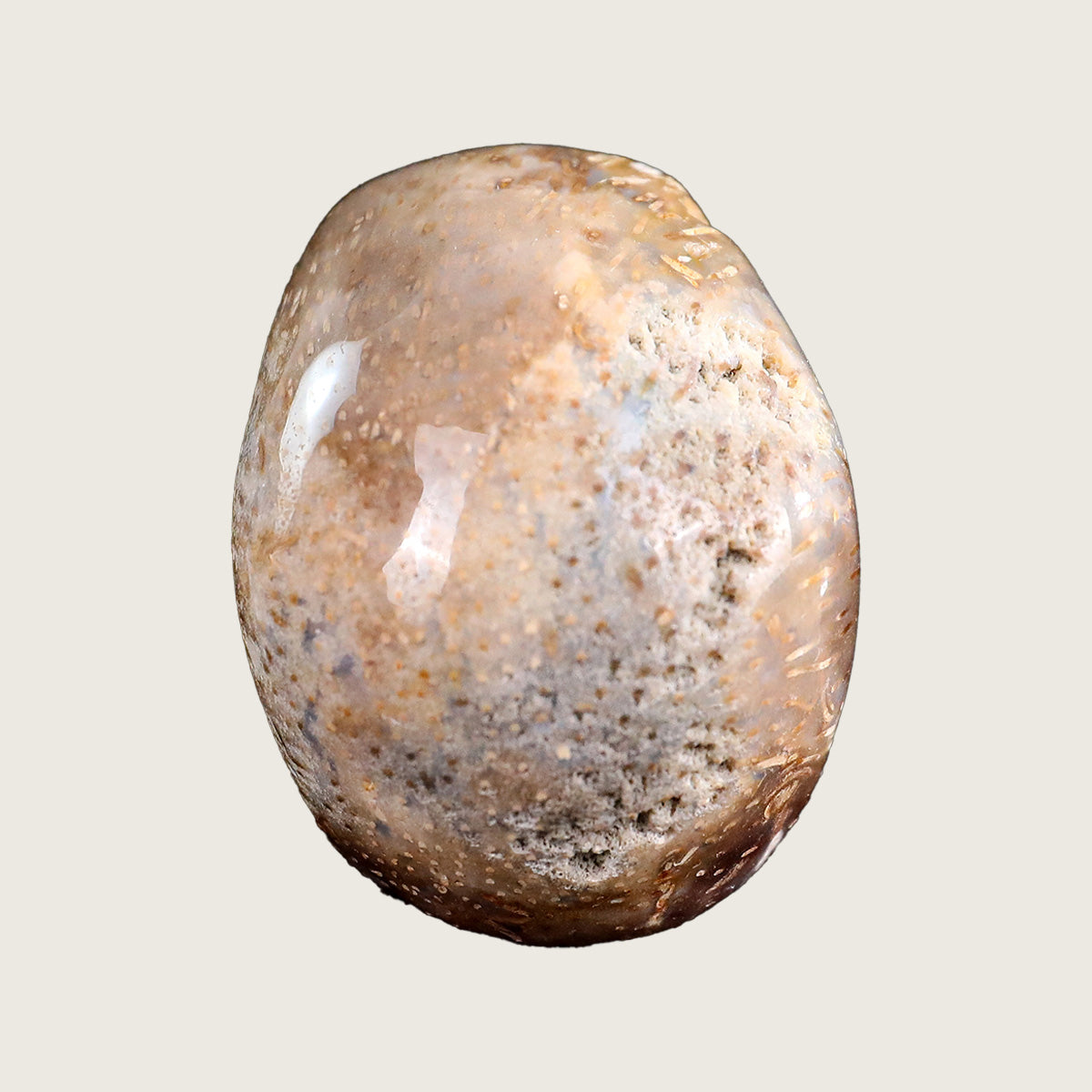 2.2" Coral Fossil Jade Crystal Skull Carving  #SKHCF2201