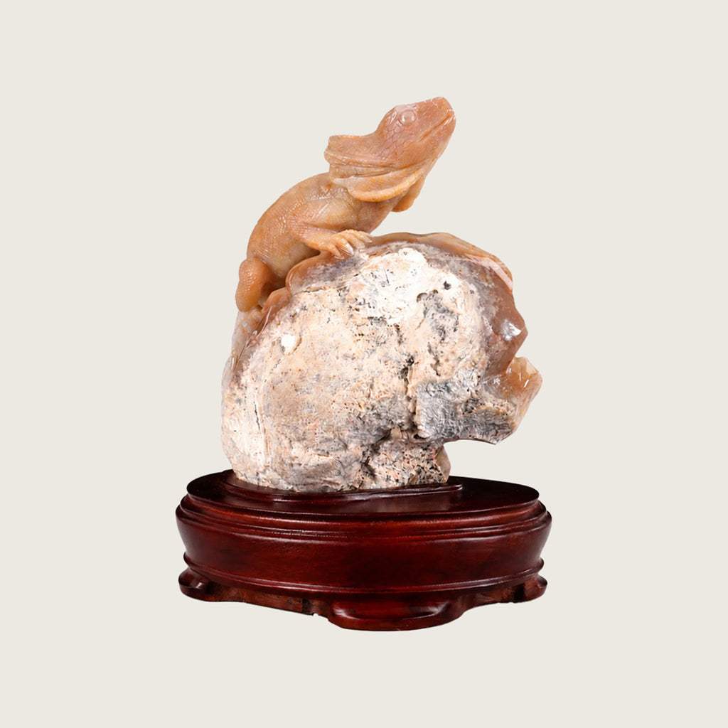 6.8" Chalcedony Jasper Crystal Lizard Carving  #CTC0042