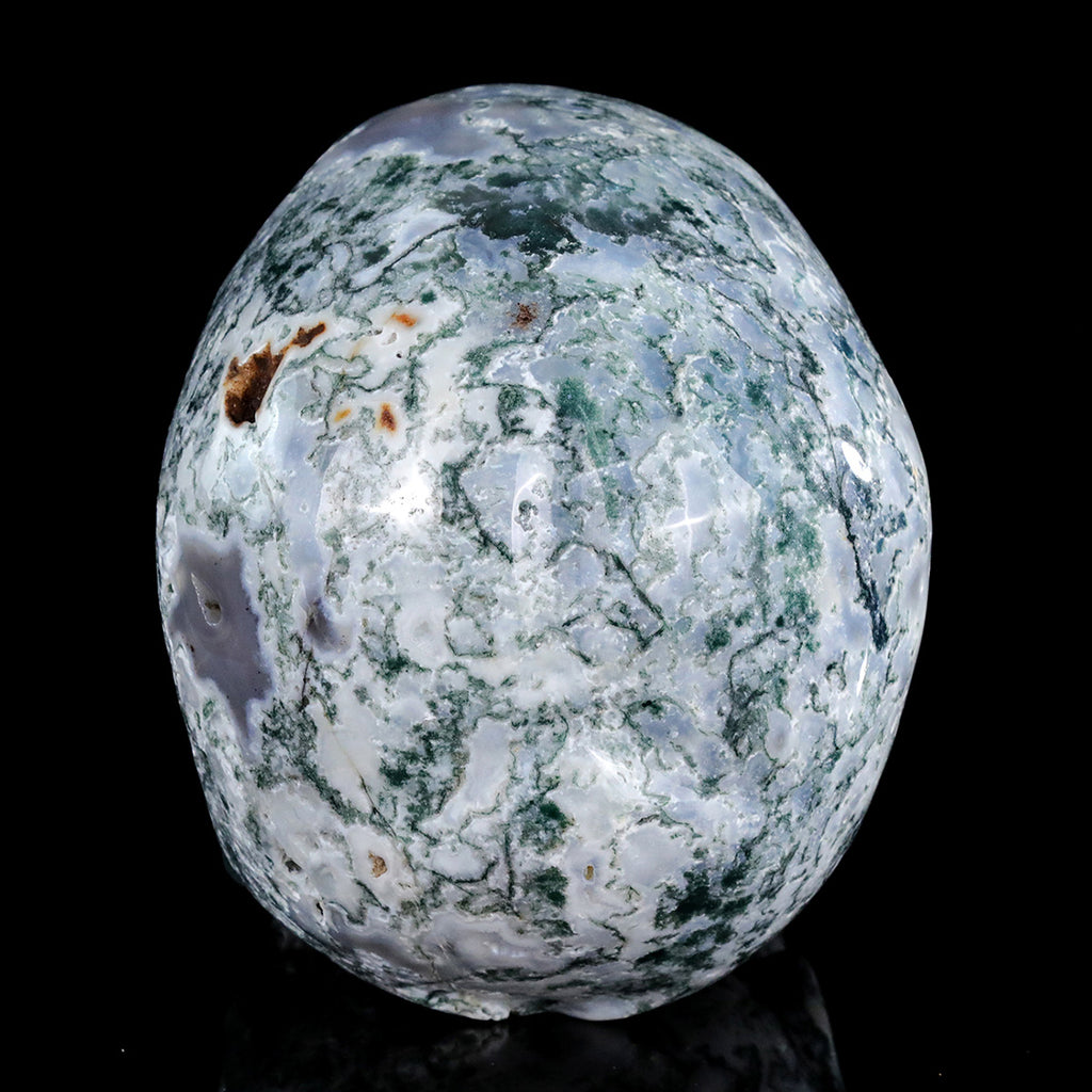 8.0" Moss Agate Crystal Skull Carving  #SCS0024