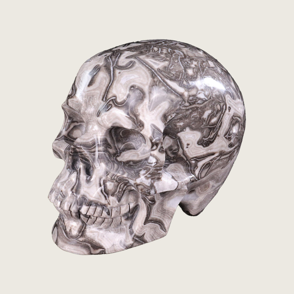 5.0" Black Crazy Lace Agate Human Skull Carving  #SCS0016
