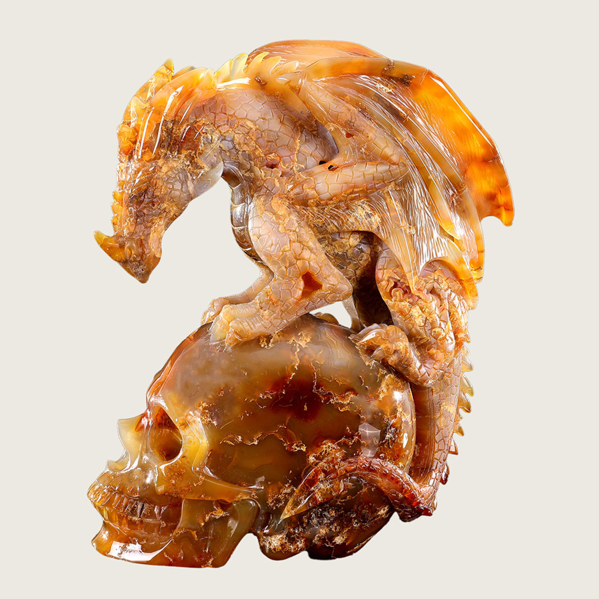 6.5" Rare Carnelian Skull & Pterosaur Carving  #SCS0003
