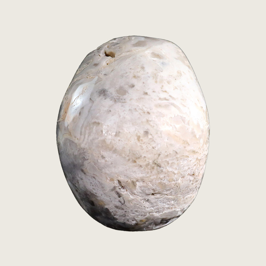 3.0" Crazy Lace Agate Crystal Skull Carving  #SKH30039