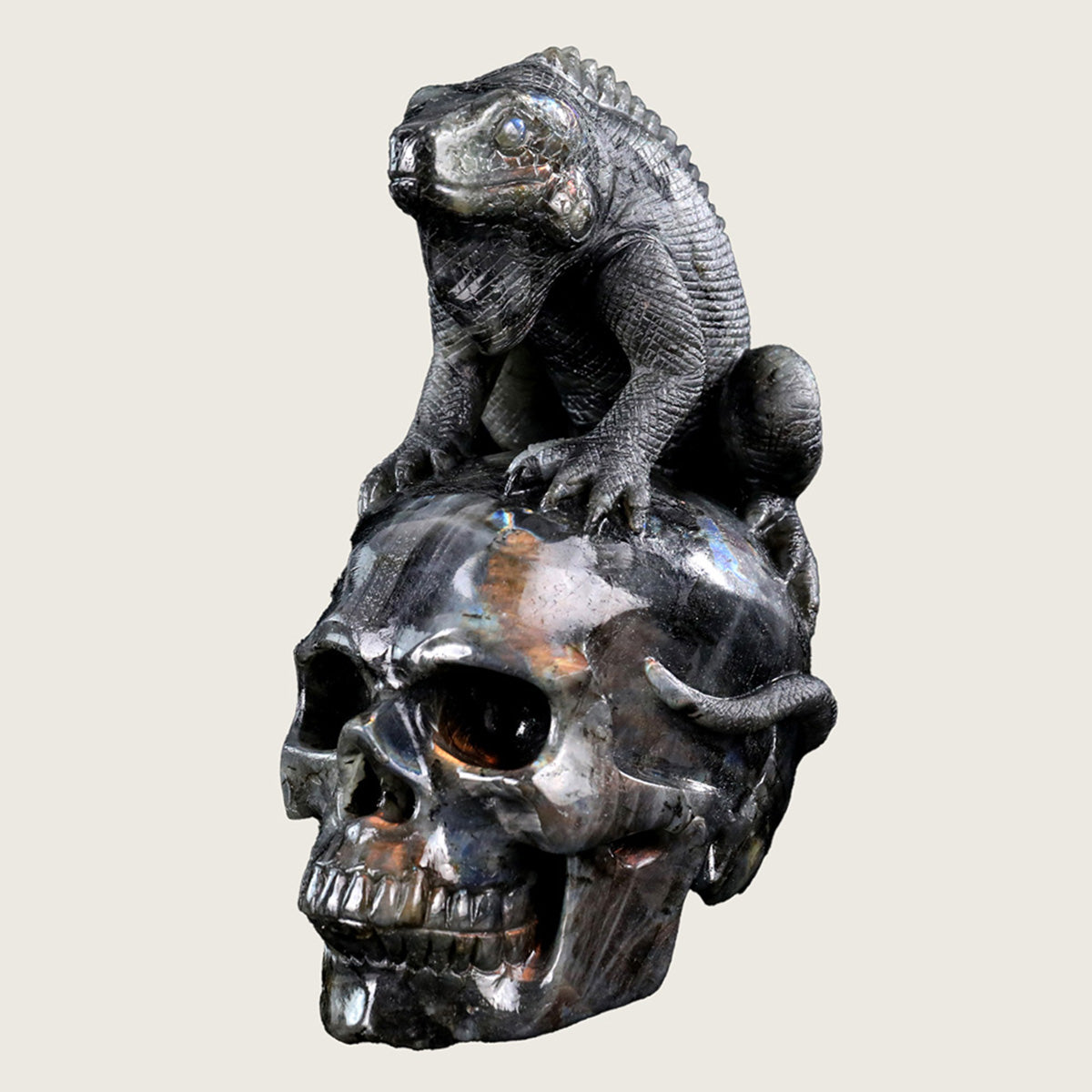 5.0" Labradorite Skull & Lizard Carving  #SCS0007