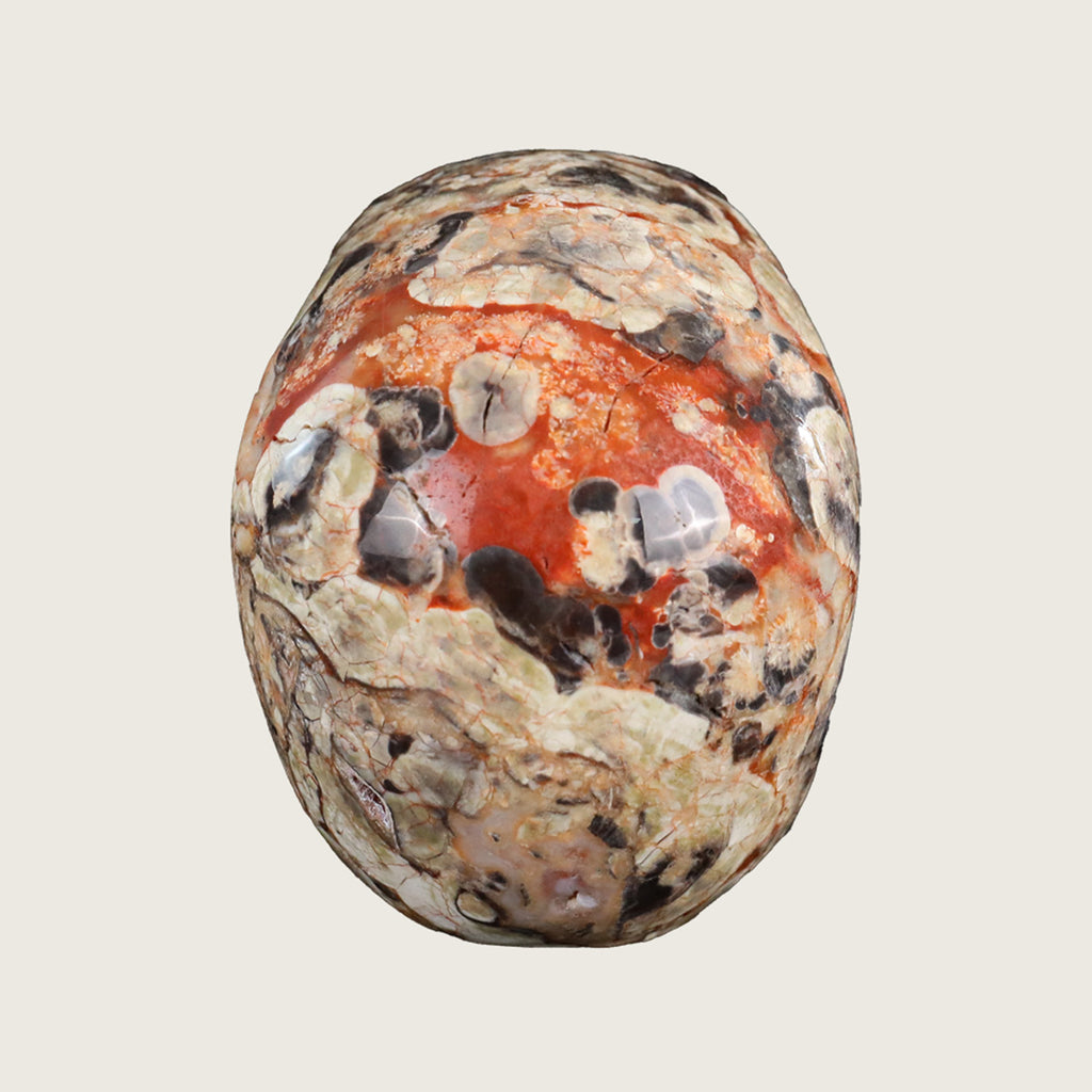 4.5" Coin Agate Crystal Skull Carving  #SKH45025