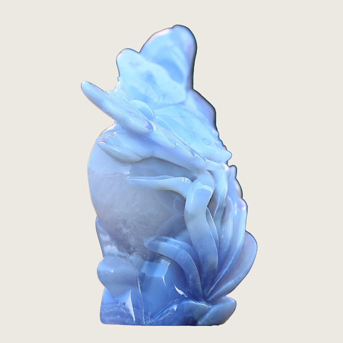4.7" Blue Lace Agate Butterfly #CTC0014