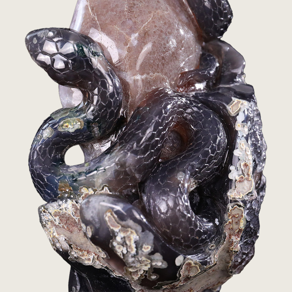 8.0"Amethyst Druse Agate Three-Headed Snake Carving  #GDC0017