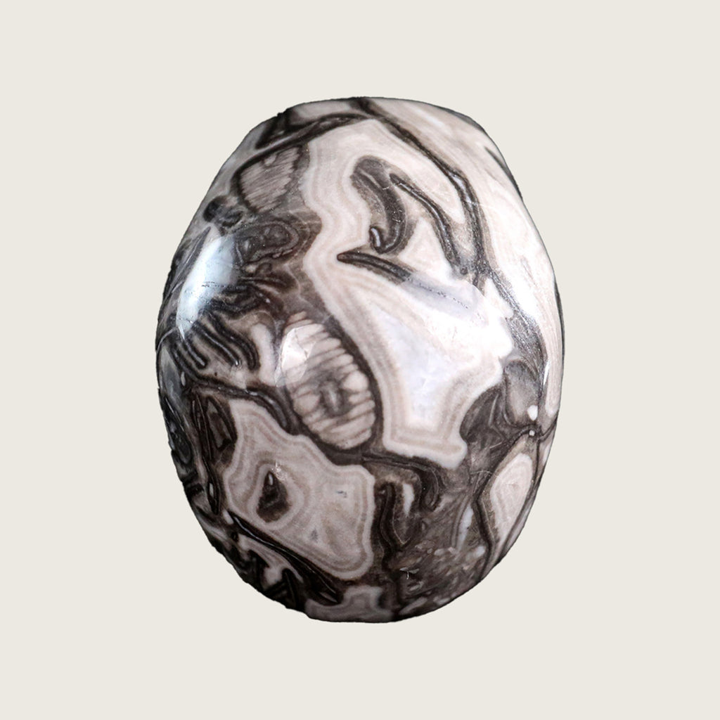 3.0" Black Crazy Agate Crystal Skull Carving  #SKH30026