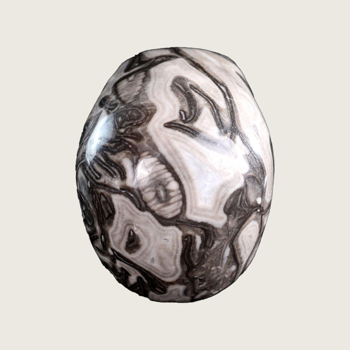 3.0" Black Crazy Agate Crystal Skull Carving  #SKH30026