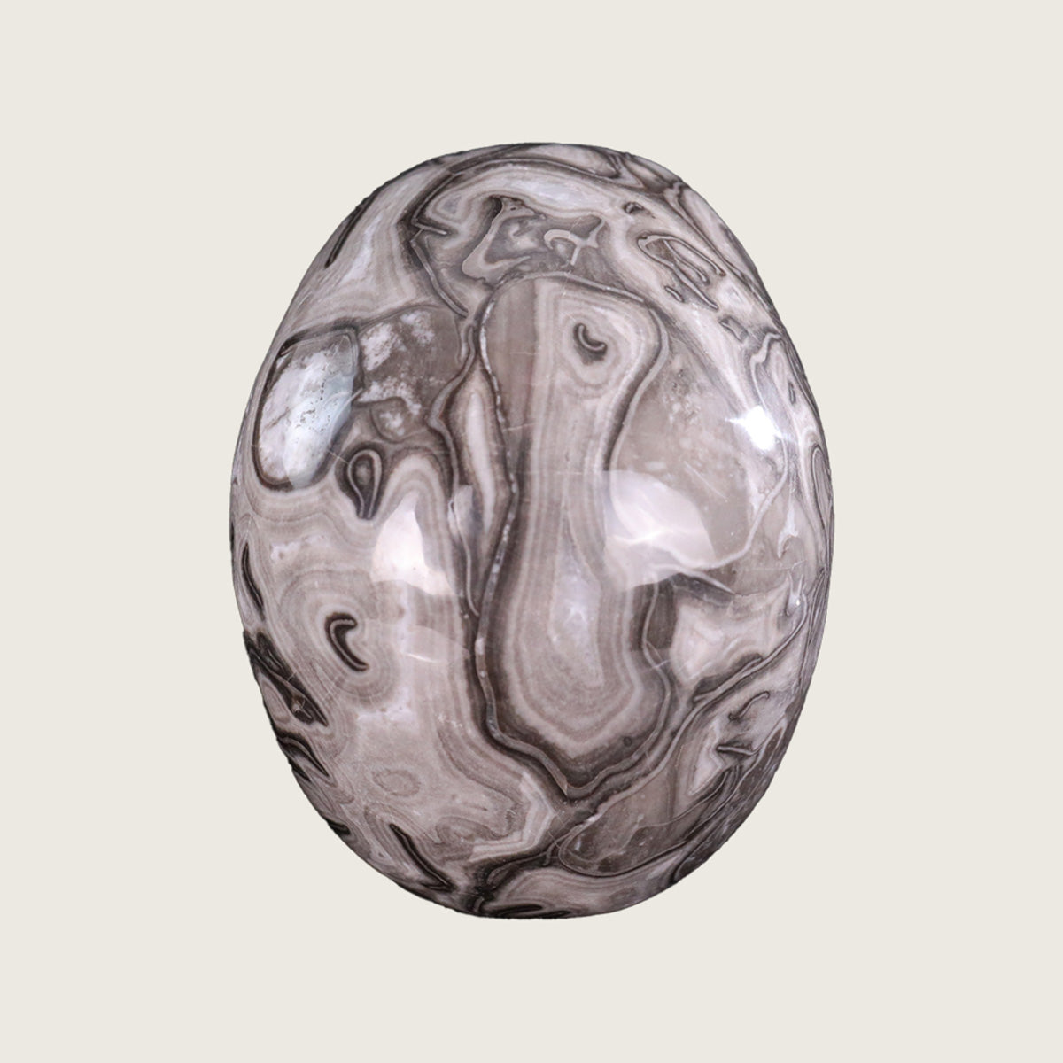 4.5" Black Crazy Agate Crystal Skull Carving  #SKH45015