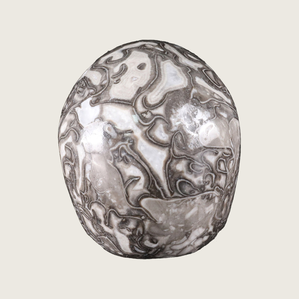 4.5" Black Crazy Agate Crystal Skull Carving  #SKH45011