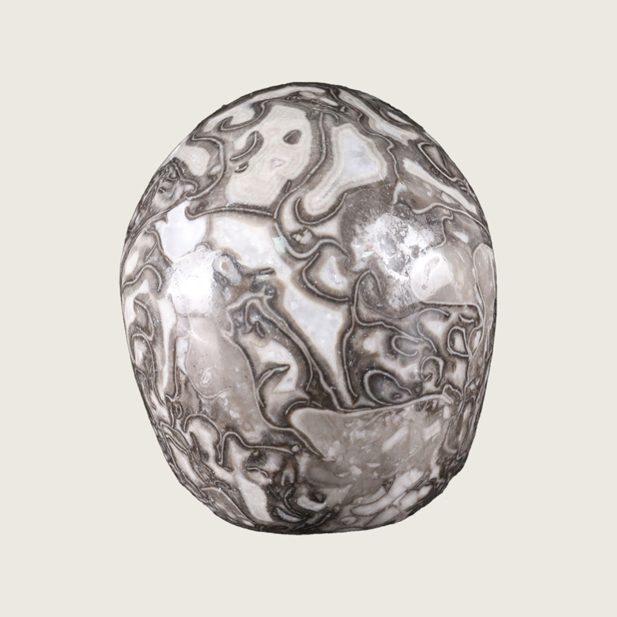 4.5" Black Crazy Agate Crystal Skull Carving  #SKH45011