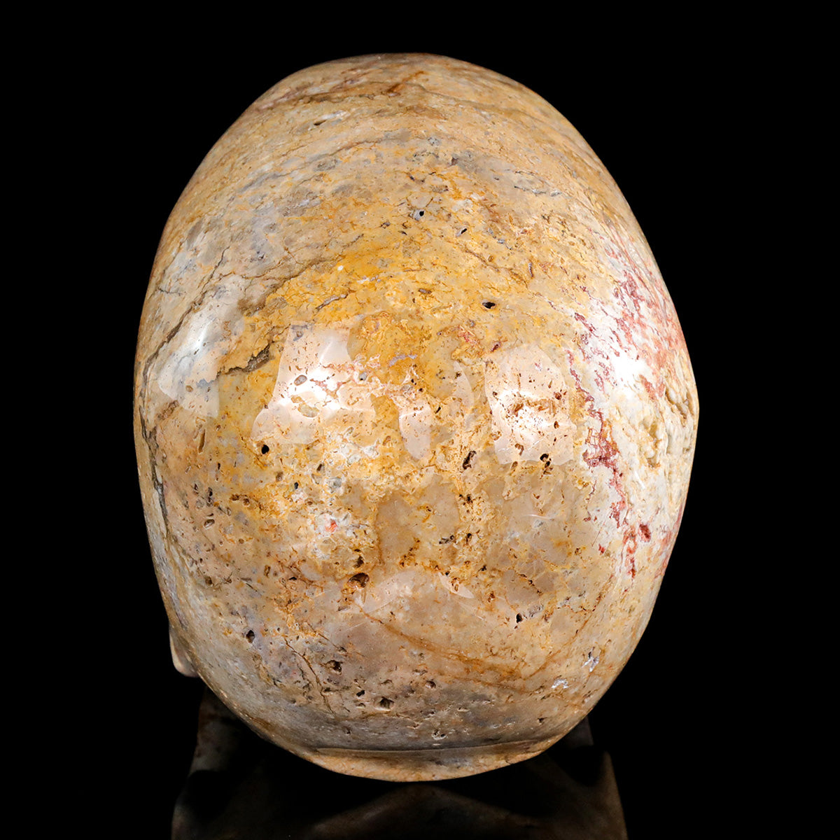 8.0" Coral Fossil Crystal Skull Carving  #SCS0028