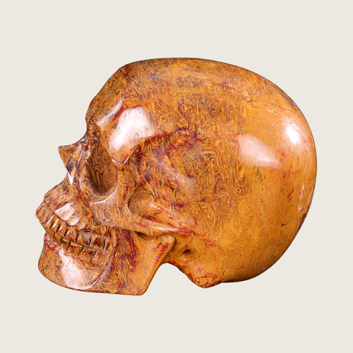 7.0" Elephant Skin Jasper Human Skull Carving  #SCS0015